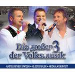 04-01-2011 - koch - die 3 grossen der vm.jpg